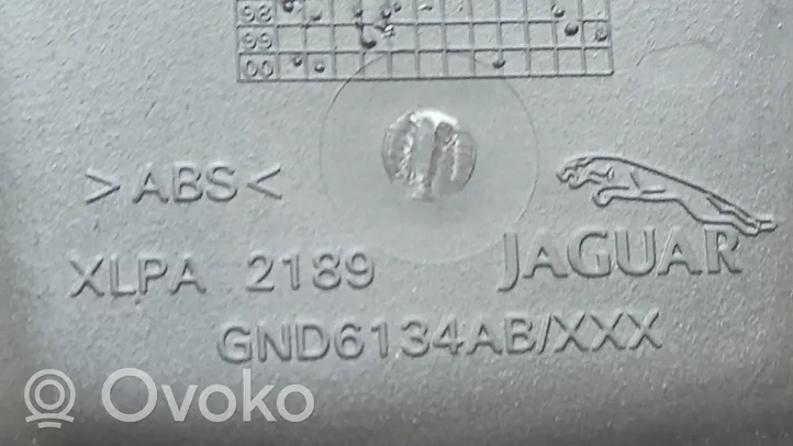Jaguar XJ X308 Schowek deski rozdzielczej GND6134AB