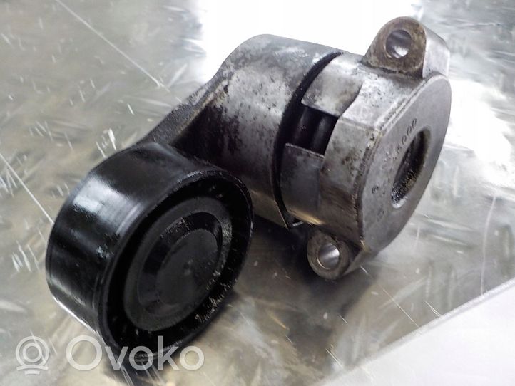 Citroen Jumper Napinacz paska alternatora 6C1Q6A228AB