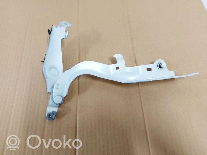 Infiniti QX50 (J55) Engine bonnet/hood hinges 