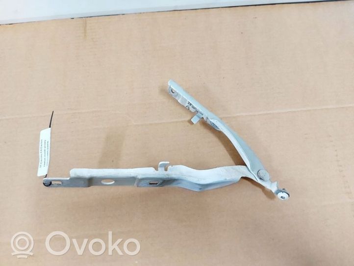 Citroen C4 Cactus Vyris (-iai) variklio dangčio 9801113880