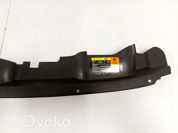 Ford Kuga I Plaque avant support serrure de capot 8V41-16613-A