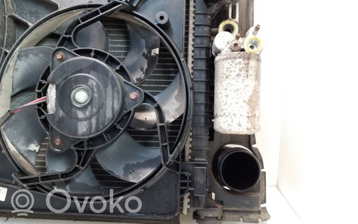 Volvo XC60 Set del radiatore 31338823