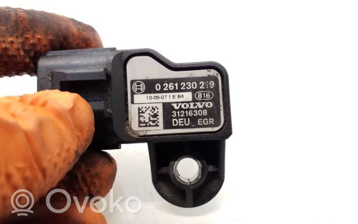 Volvo XC60 Sensore della temperatura dell’aria aspirata 31216308