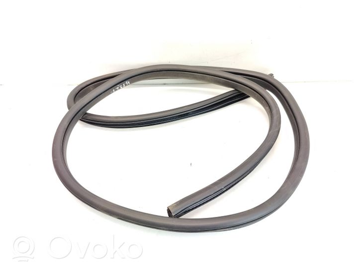 Ford Kuga II Rear door rubber seal (on body) 