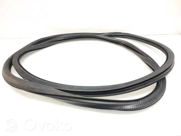 Volkswagen PASSAT B7 Front door rubber seal 3C4867911B