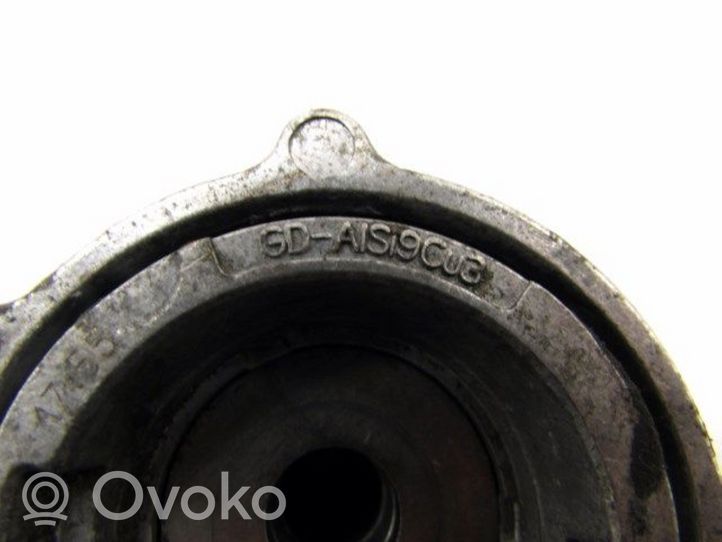 Skoda Fabia Mk1 (6Y) Napinacz paska wielorowkowego / Alternatora 
