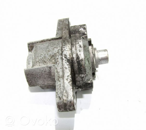 Dacia Logan I Alternator belt tensioner 