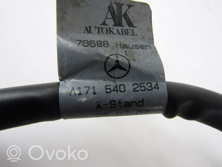 Mercedes-Benz SLK R171 Плюсовый провод (аккумулятора) 