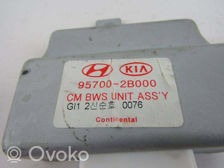 Hyundai Santa Fe Parking PDC control unit/module 