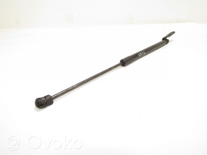 Nissan Murano Z51 Tailgate/trunk strut/damper 