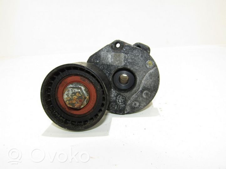 BMW X1 E84 Napinacz paska wielorowkowego / Alternatora 