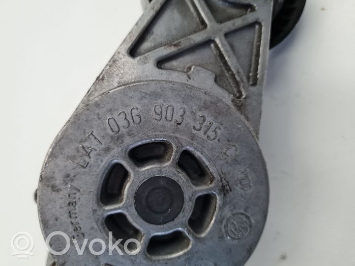 Volkswagen PASSAT B5.5 Napinacz paska alternatora 03G903315C