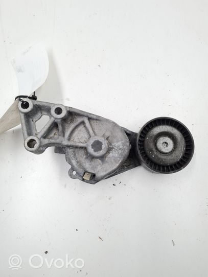 Seat Leon (1M) Tendicinghia generatore/alternatore 038903315F