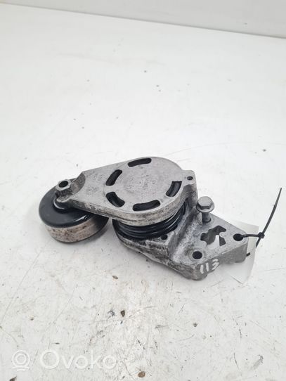 Audi A2 Tendicinghia generatore/alternatore 045903315A