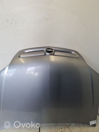 Opel Signum Motorhaube 