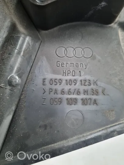 Audi A4 S4 B6 8E 8H Paskirstymo diržo apsauga (dangtelis) E059109123K