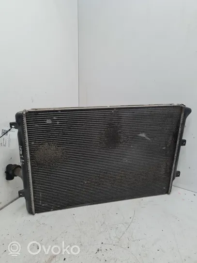 Volkswagen PASSAT B6 Radiateur de refroidissement 