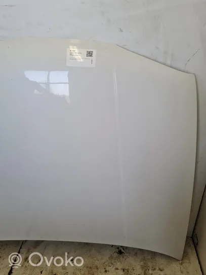 Volkswagen Golf IV Engine bonnet/hood 