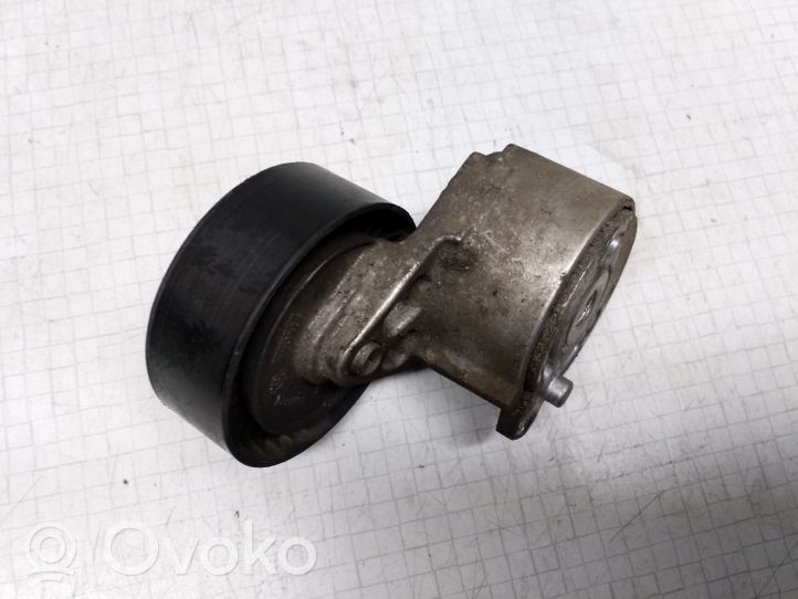 Peugeot 806 Napinacz paska alternatora 