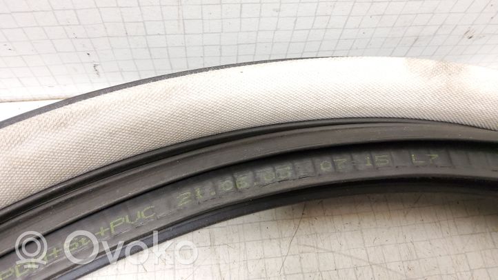 Volkswagen PASSAT B5.5 Front door rubber seal 3B0867366L