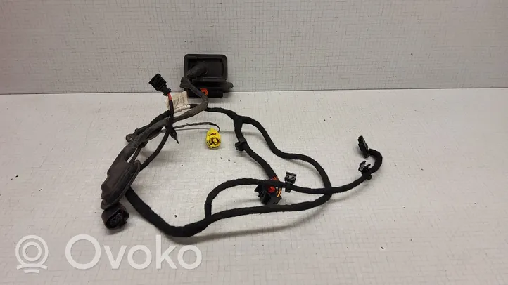 Volkswagen PASSAT B6 Priekšējo durvju vadu instalācija 387639104