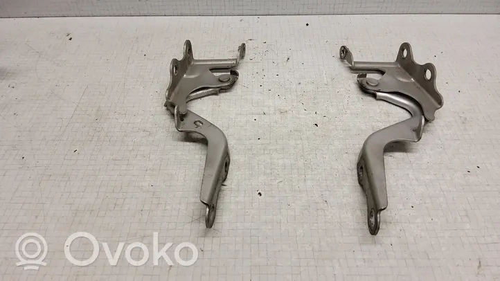 Toyota Verso Engine bonnet/hood hinges 