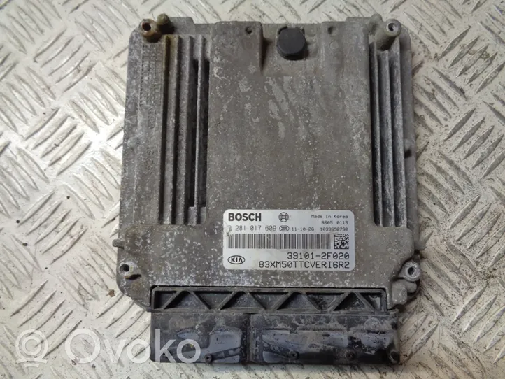 KIA Sorento Calculateur moteur ECU 391012F020