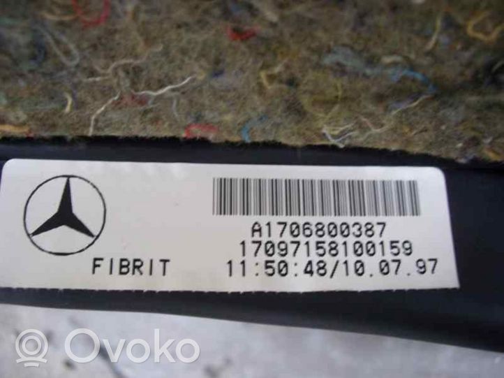 Mercedes-Benz SLK R170 Panelė A1706800387