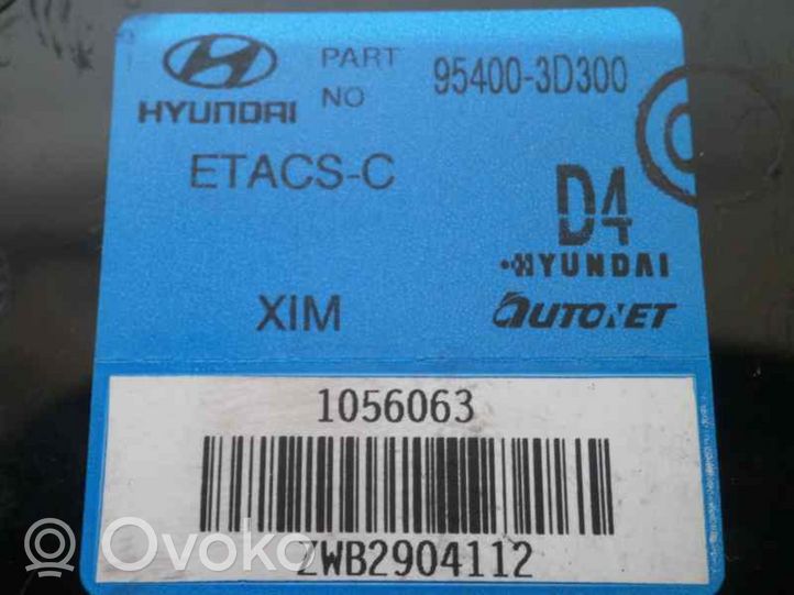 Hyundai Sonata Other control units/modules 954003D300