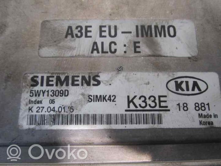 KIA Rio Dzinēja vadības bloks K33E18881