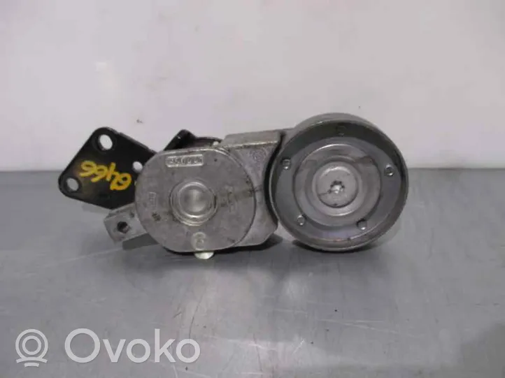 Seat Ibiza III (6L) Napinacz paska alternatora 4410201