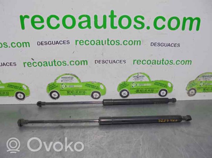 Toyota Avensis T220 Tailgate/trunk strut/damper 6896005050