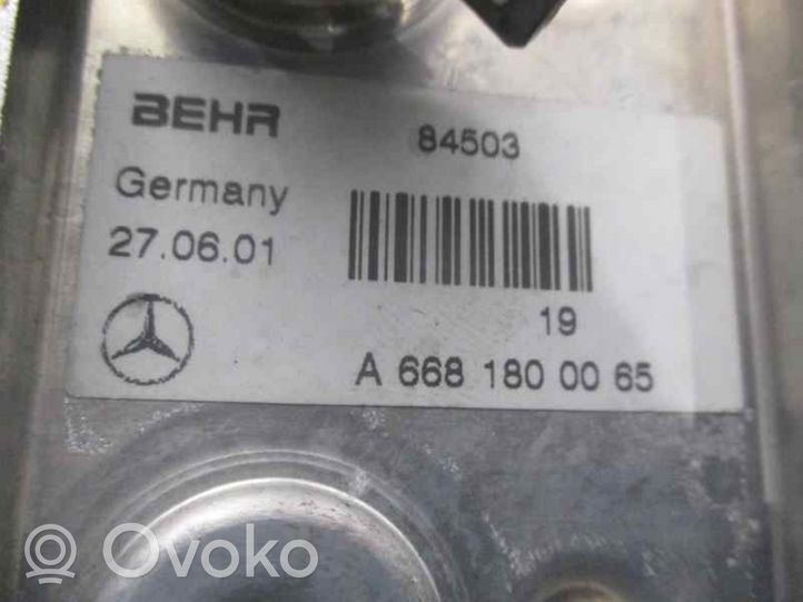 Mercedes-Benz A W168 Radiatore dell’olio del motore 6681800065