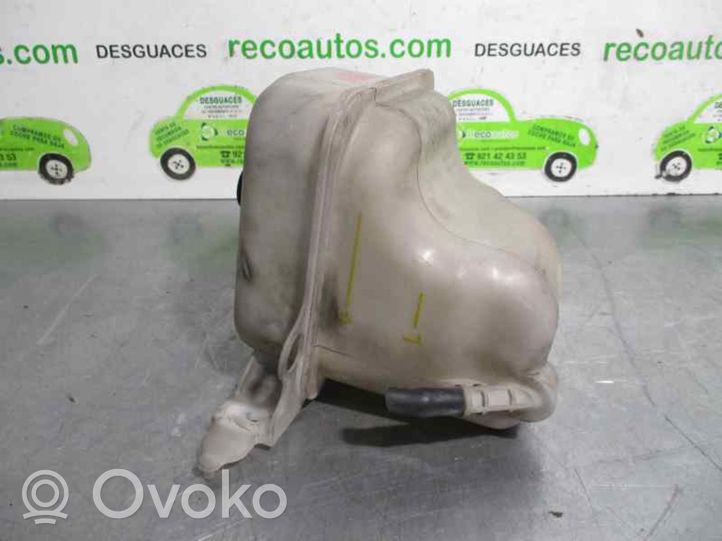 Hyundai Sonata Serbatoio di compensazione del liquido refrigerante/vaschetta 254303K700