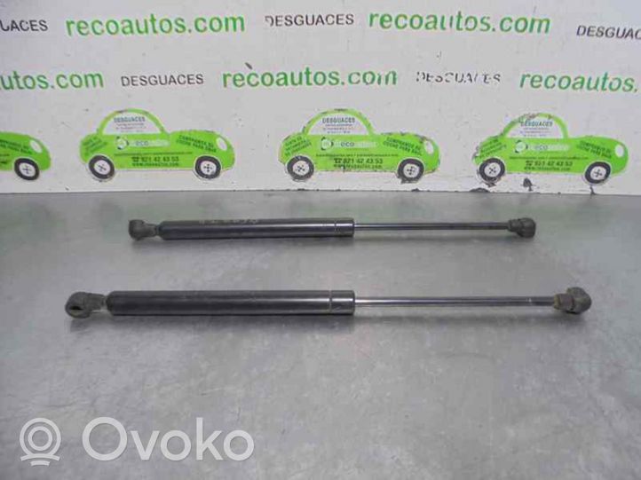 Land Rover Range Rover P38A Takaluukun tuen kaasujousi LR027543