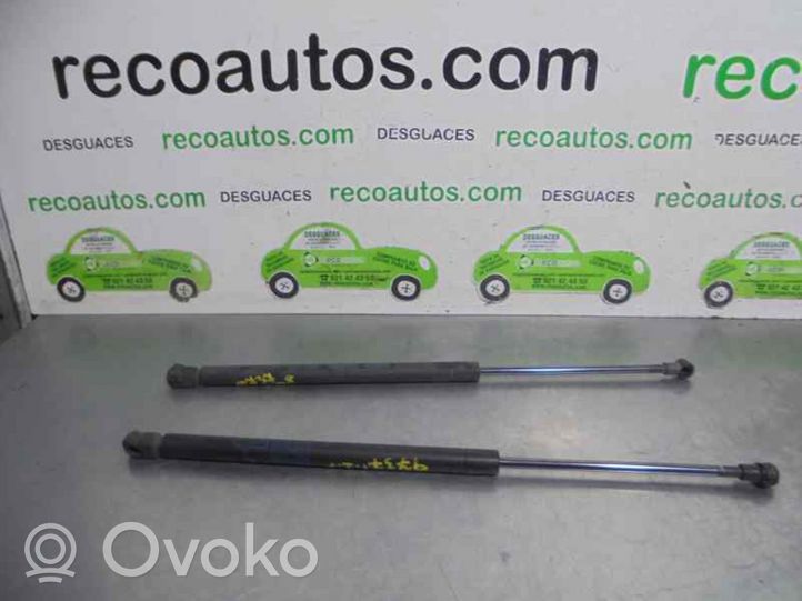 Toyota Corolla Verso E121 Ammortizzatore portellone posteriore/bagagliaio 6896002031