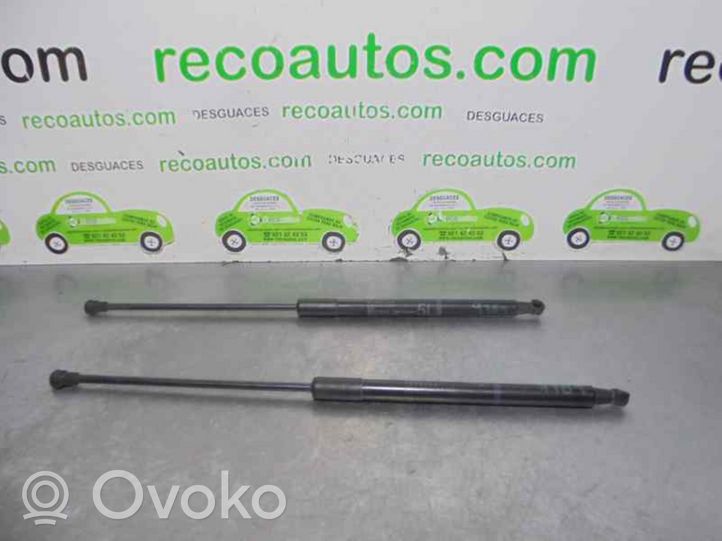 Toyota Prius (XW50) Tailgate/trunk strut/damper 689500W540