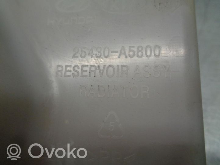 Hyundai i30 Serbatoio di compensazione del liquido refrigerante/vaschetta 25430A5800