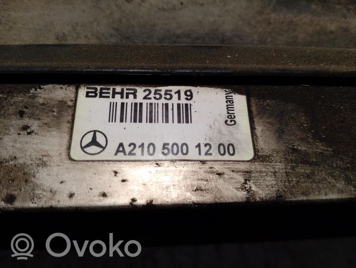 Mercedes-Benz E W210 Żarówka do lampy przedniej A2105001200