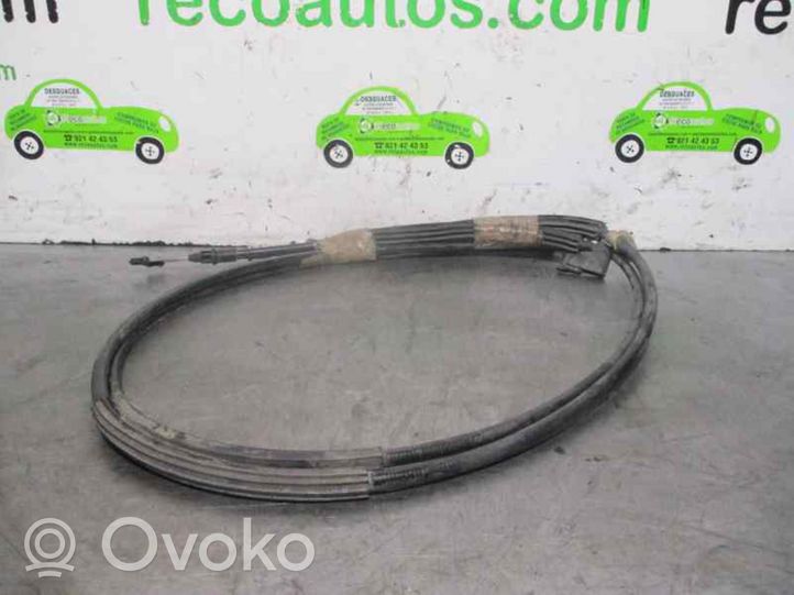 Ford Focus Otros cableados 