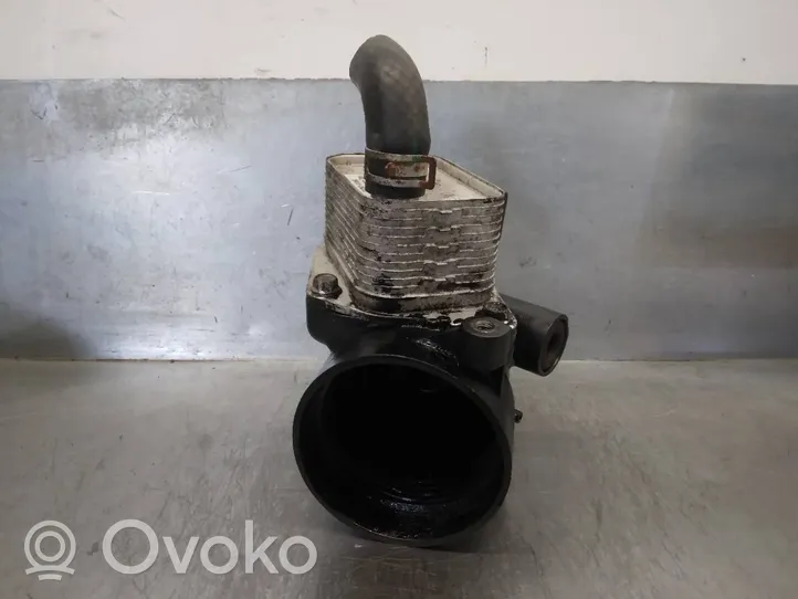 KIA Optima Radiatore dell’olio del motore 264102A300