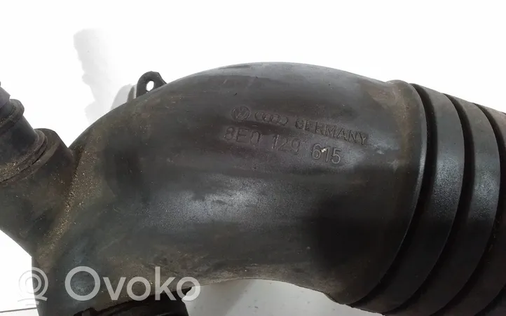 Audi A4 S4 B6 8E 8H Žarna (-os)/ vamzdis (-džiai) 8E0129615