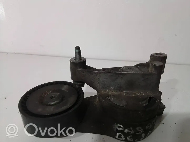 Volkswagen PASSAT B6 Napinacz paska alternatora 03G903315