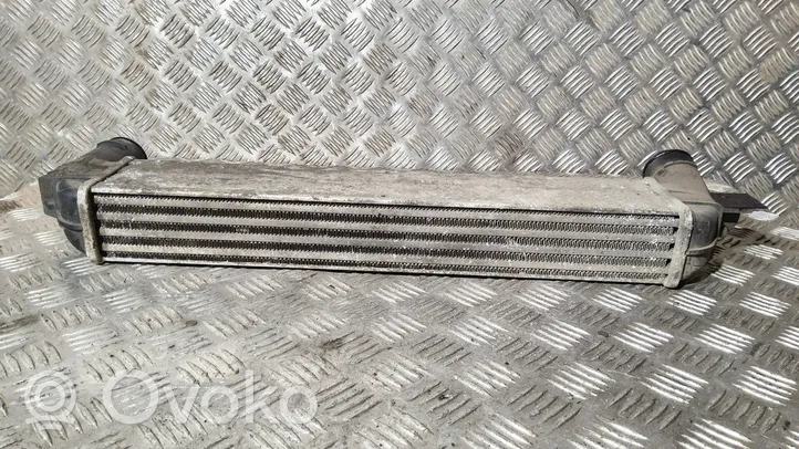 BMW 5 E34 Starpdzesētāja radiators 2243345