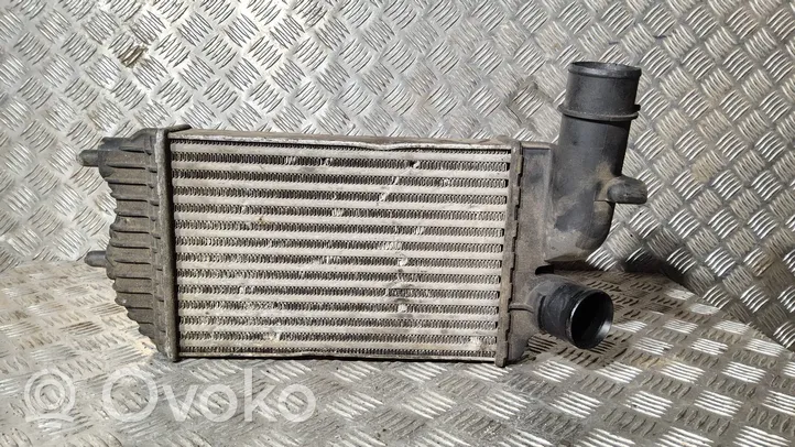 Peugeot Boxer Intercooler radiator 1307012080