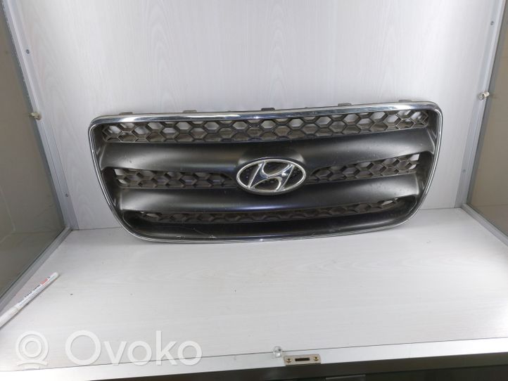 Hyundai Santa Fe Grotelės viršutinės E86512B010