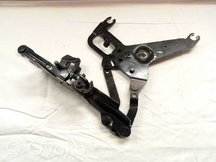 BMW X5 F15 Cerniere del vano motore/cofano 17205310