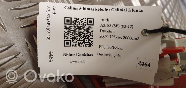 Audi A3 S3 8P Galinis žibintas kėbule 