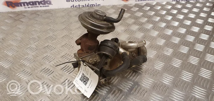 Audi A6 S6 C6 4F EGR aušintuvas BTW059131511