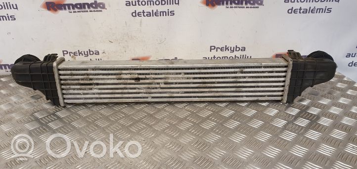 Mercedes-Benz E W211 Radiatore intercooler 